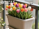PE塑料花盆防静电，选对抗静电剂是关键