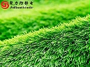 抗静电剂：为人工草坪穿上“防静电盔甲”