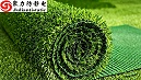 踩踏 PP 草坪产生静电？聚力抗静电剂改善