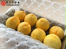 气泡膜静电问题及生产环节的解决方案